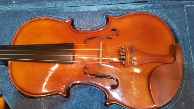 Violino Eagle 4/4 VE440 Novo