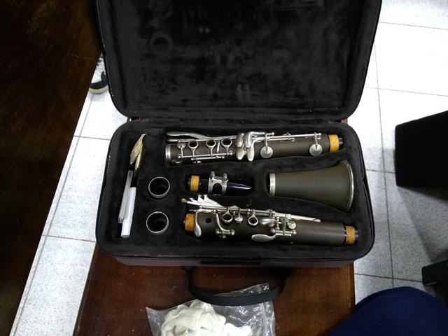 Clarinete - Dolphin