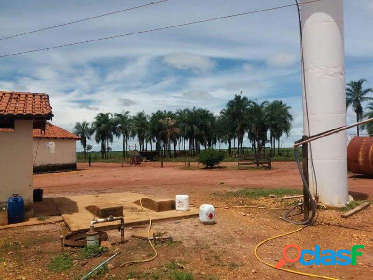 Fazenda em Nova Xavantina -,,, por 21 milhões à venda