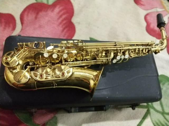 Sax alto Michael sincer 