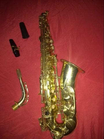 Saxofone Alto - Shelter