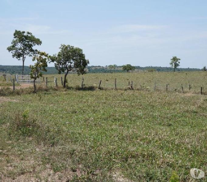 Fazenda- 69,33 hectares- Santo Antônio do Descoberto