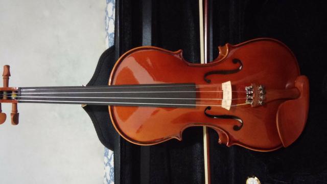 Violino Eagle 4/4 Ve441