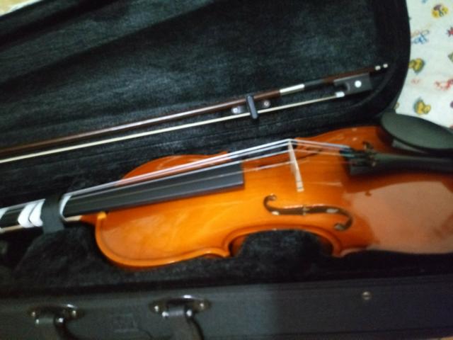 Violino canhoto sverve