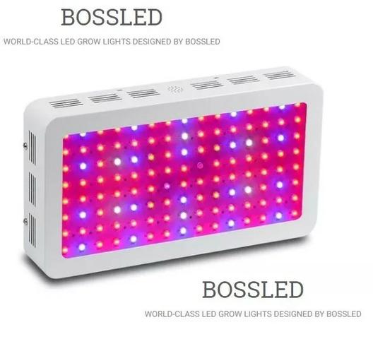 Painel Led w Grow Bossled w