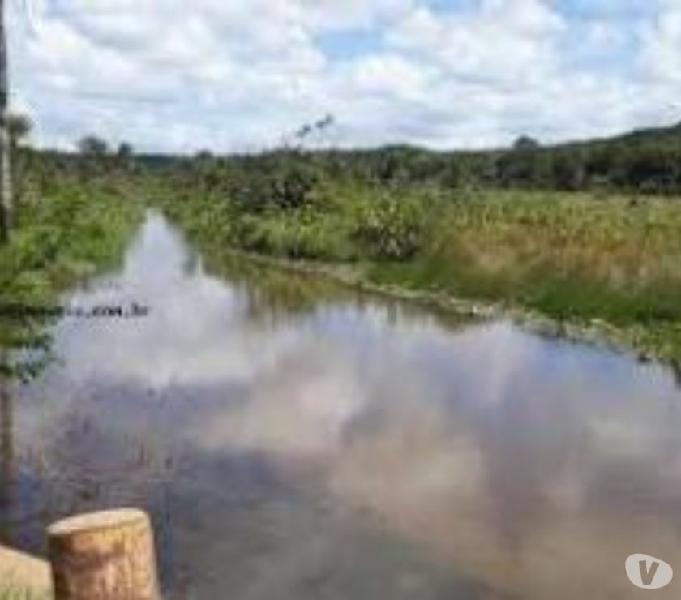 FAZENDA A VENDA A EM CAMAPUÃ - MS (Pecuária)