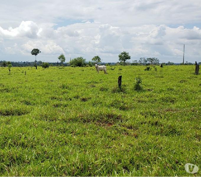 Fazenda de 12.800 hectares escriturada