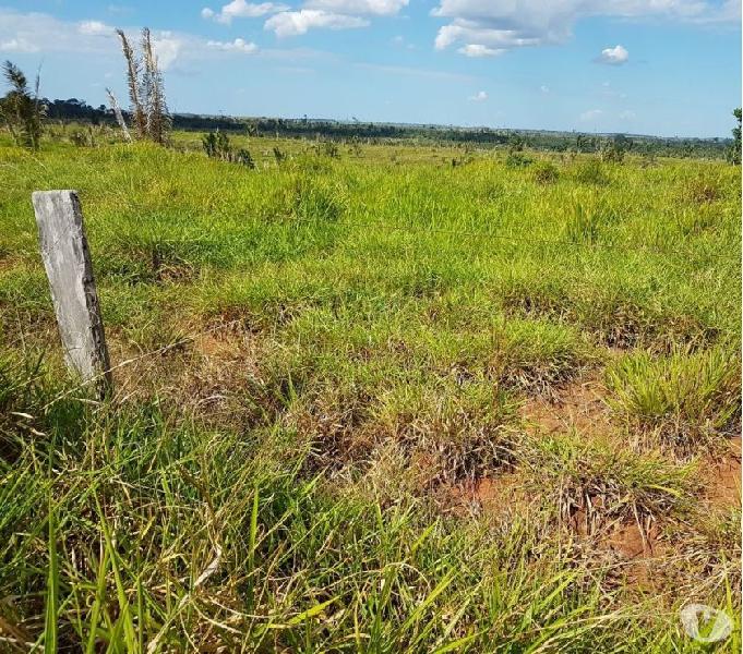 Fazenda de 827 hectares escriturada