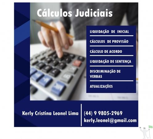 CALCULOS JUDICIAIS