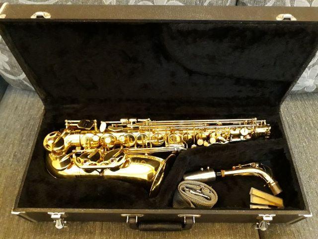 Sax alto dolphin