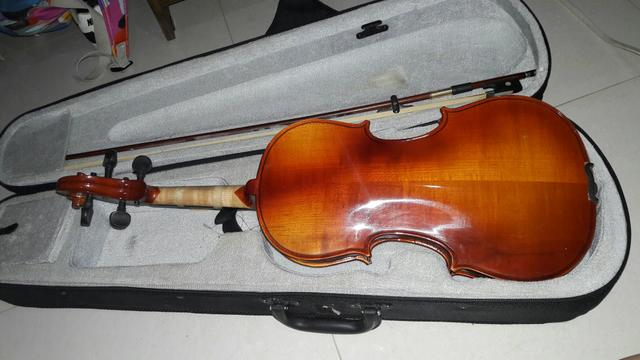 Violino