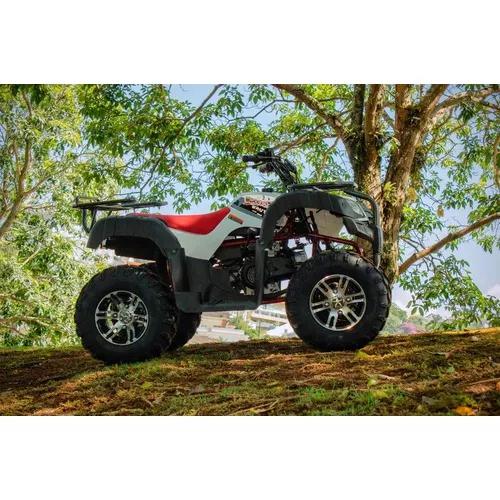 Quadriciclo 150cc Brutus Automático Câmbio Cvt Com Ré