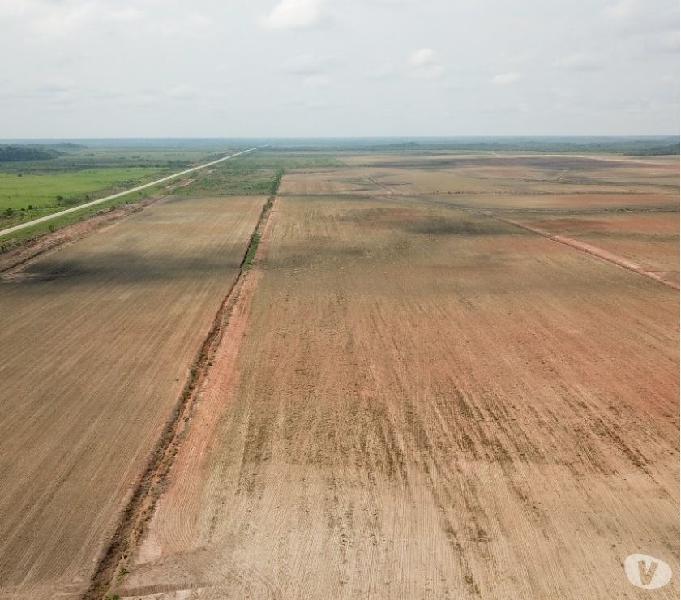 Fazenda de 10.000 hectares plantando escriturada