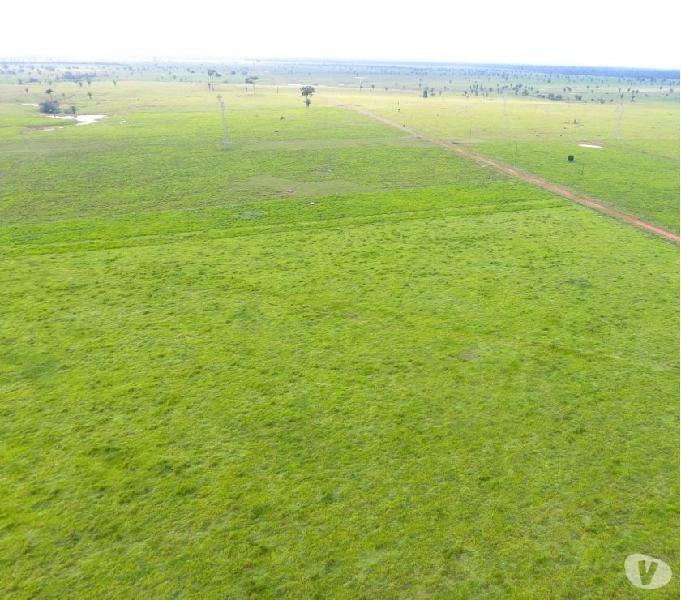 Fazenda de 9.000 hectares para lavoura escriturada