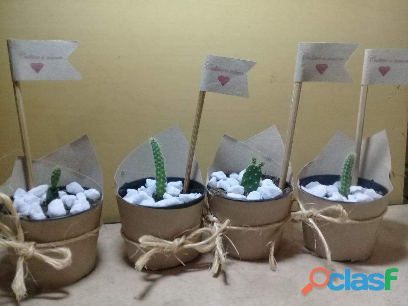 Lembranças de mini cactos e mini suculentas