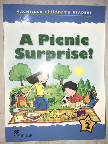 Livro A picnic surprise