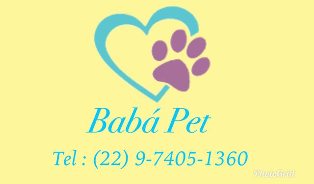 Baba pet