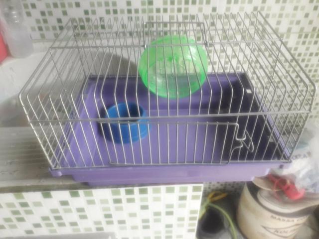 Casinha pra ramist