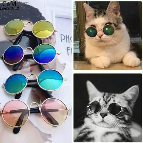 Óculos escuros para animais