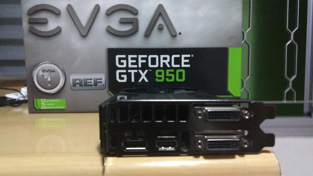 GTX  gigas