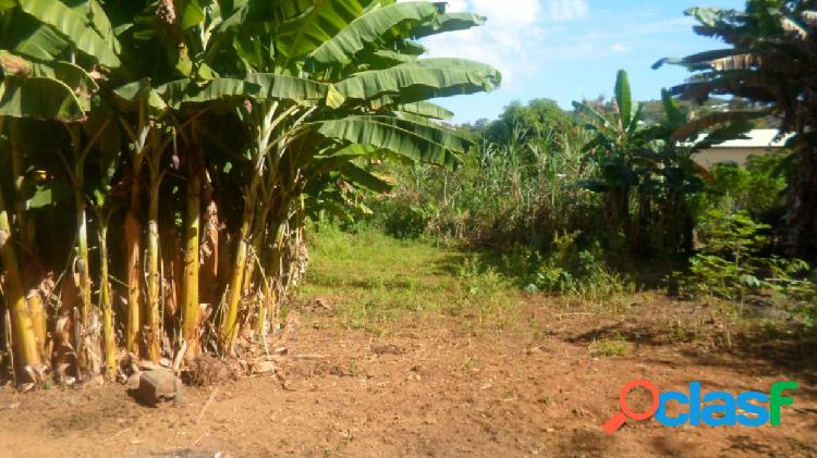 Lote - Venda - Sao Jose da Lapa - MG - cachoeira