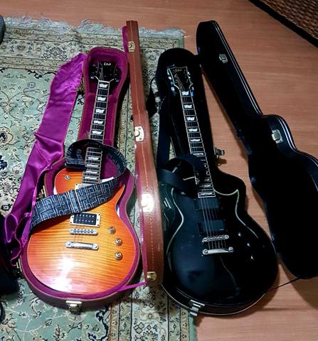 Guitarras ESP ec256 Custom, ESP ec 401