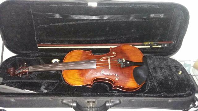 Lindo Violino Profissional !!!