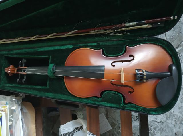 Vendo violino