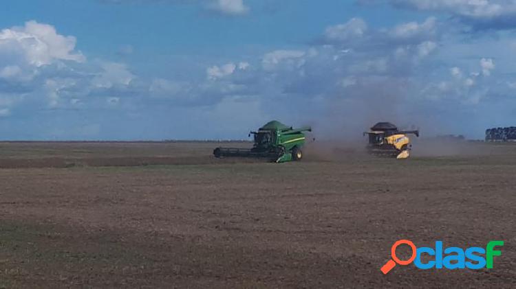 Fazenda em Gaúcha do Norte -.... por 22 milhões à venda