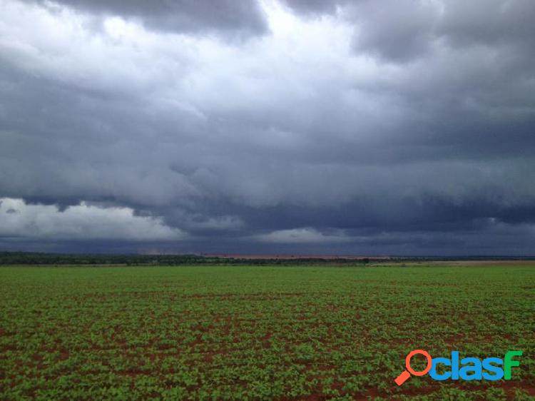 Fazenda em Porto Alegre do Norte -... por 0 à venda