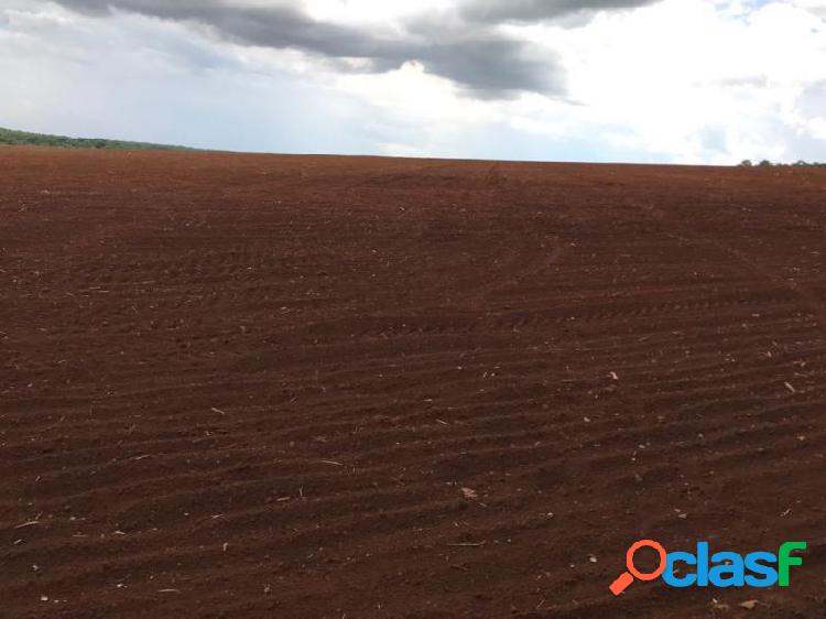 Fazenda em Água Boa -... por 45 milhões à venda