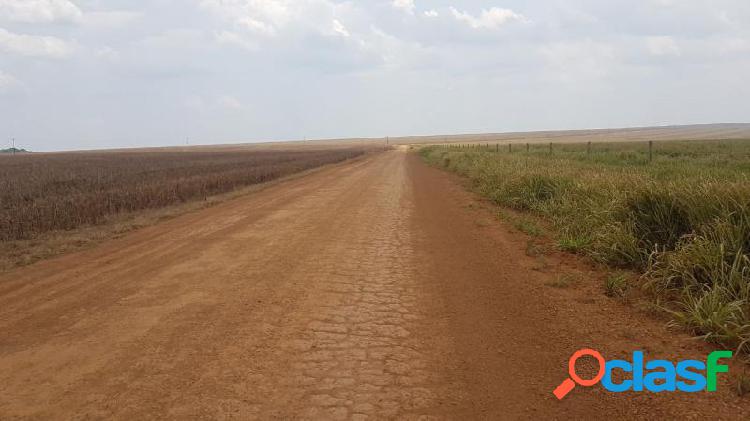 Fazenda em Campo Novo do Parecis -,,, à venda