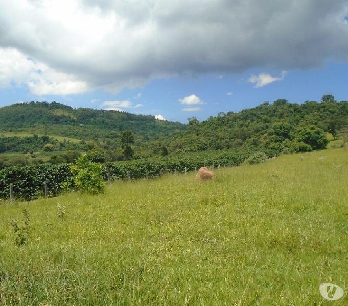 Sítio com 25,41 hectares, 35 mil pés de café