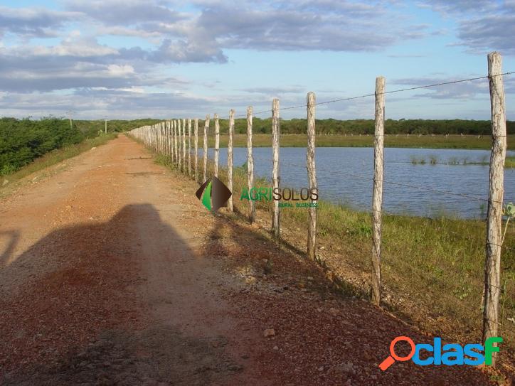 FAZENDA 155 ALQ EM FORTALEZA