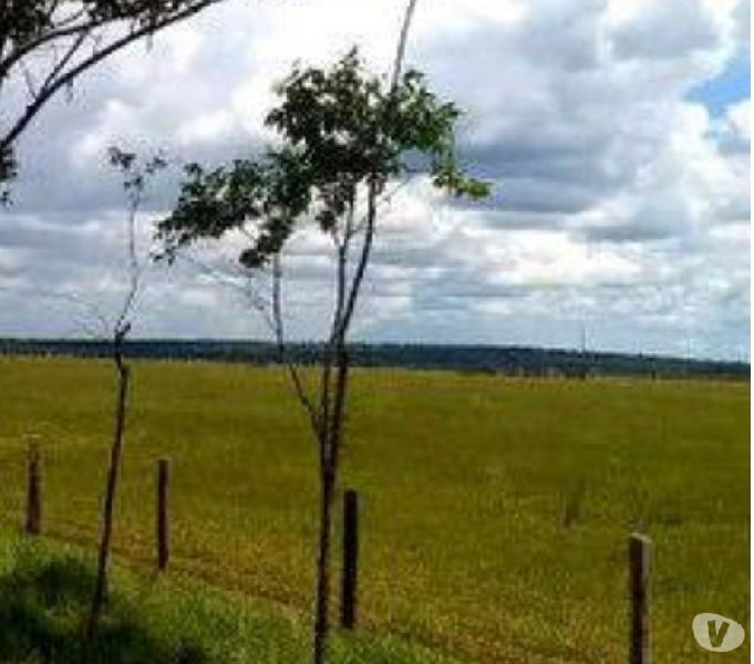 OPORTUNIDADE DE FAZENDA COM 480 ALQUEIRES EM AMAMBAÍ MS