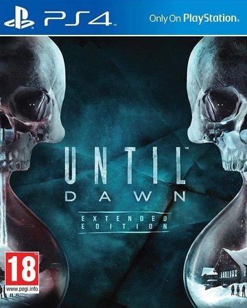 Until dawn Mídia Física