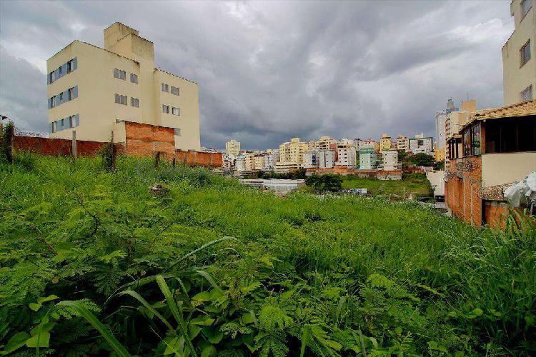 Lote, Paquetá