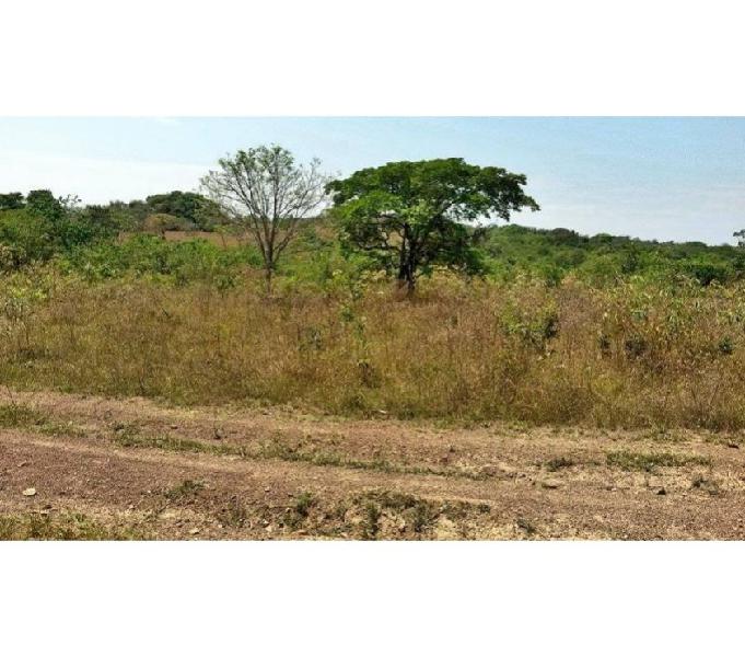 Chacara com Rego d Agua e Ribeirão 60 km de goiania