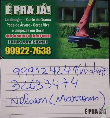 ROÇADAS, JARDINS E PODAS EM GERAL.