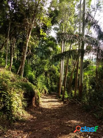 Terreno - VENDA - TERRENOS - Ibirama - SC - Padre Anchieta