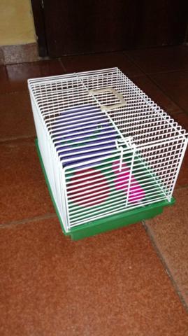 Kit de acessórios para Hamster