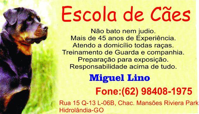 Miguel Lino - Adestramento de Cães com mais de 45 anos de
