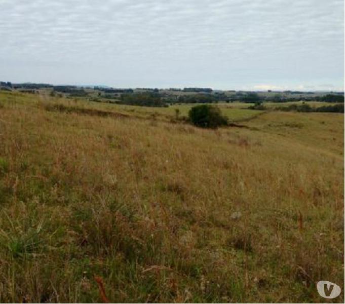 Sítio 18,0 Hectares - Rincão São João - Glorinha - RS