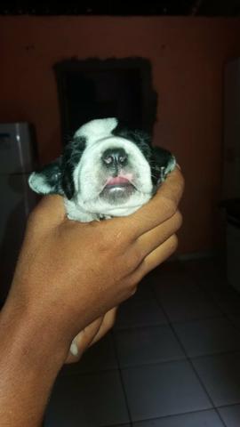 Vendo