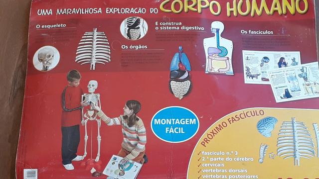 Corpo humano