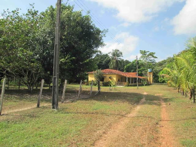 Fazenda 350 ha no município de terra alta-pa