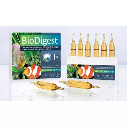 Prodibio Biodigest 01 Ampola - 20 Bilhões Bacterias Vivas