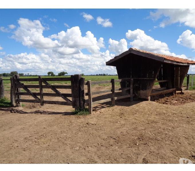 FAZENDA COM 245 HECTARES EM PORTO ESPERIDIÃO MT.