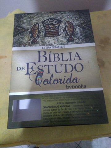 Bíblia de estudo colorida