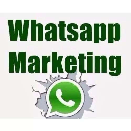 Pacote De Envios De Whatsapp Marketing